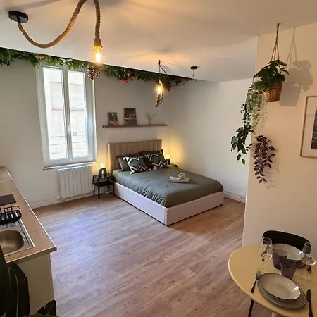 Daire Tropical Jungle-clim-wifi-allee Paul Riquet