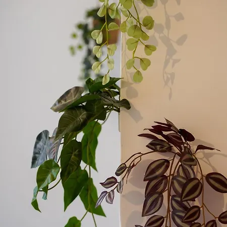 Tropical Jungle Apartment Beziers