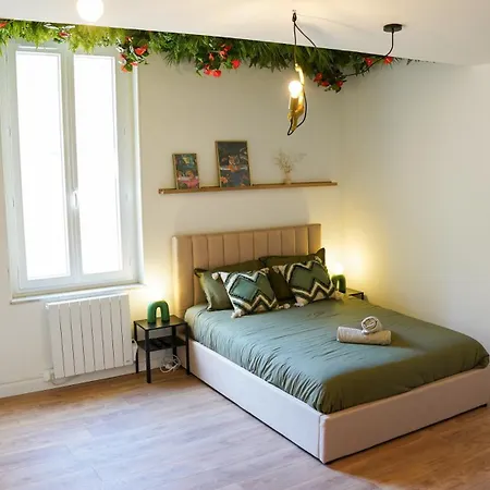 Tropical Jungle-clim-wifi-allee Paul Riquet Daire *