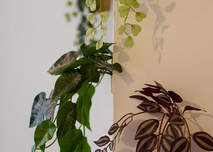 Tropical Jungle Apartamento Béziers